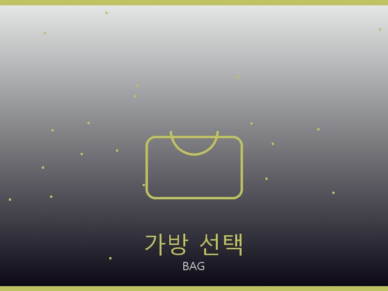 샤넬 토트백 S급 가방 선택 가이드