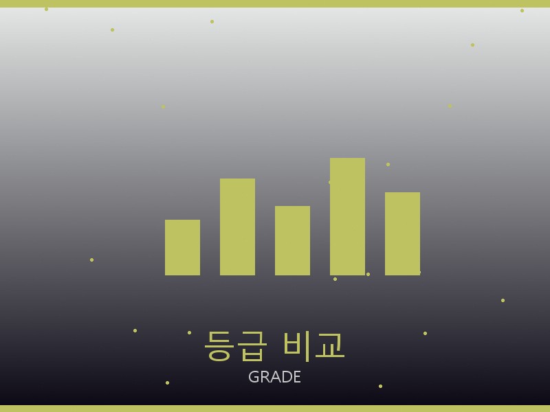 샤넬 토트백 S급 등급 기준 비교